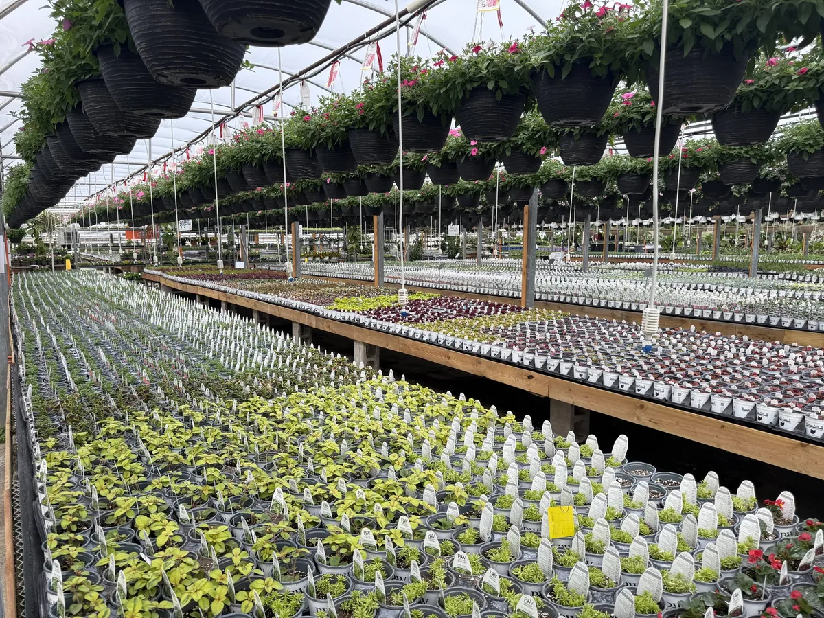 Blooming Acres, Garden Center, Wadsworth, OH